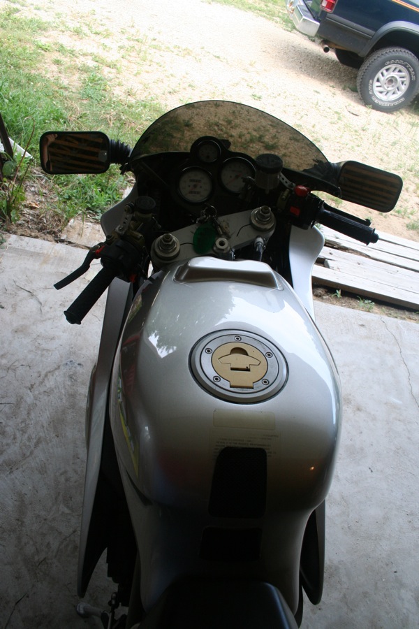 GlistenyDuc%20005.JPG